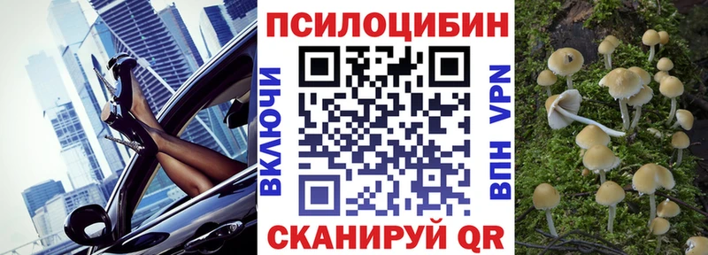 Галлюциногенные грибы Psilocybe  сколько стоит  Нытва 
