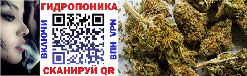 Канабис сатива  наркота  Нытва 